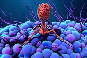 Bacteriophages: A Promising Therapeutic Tool