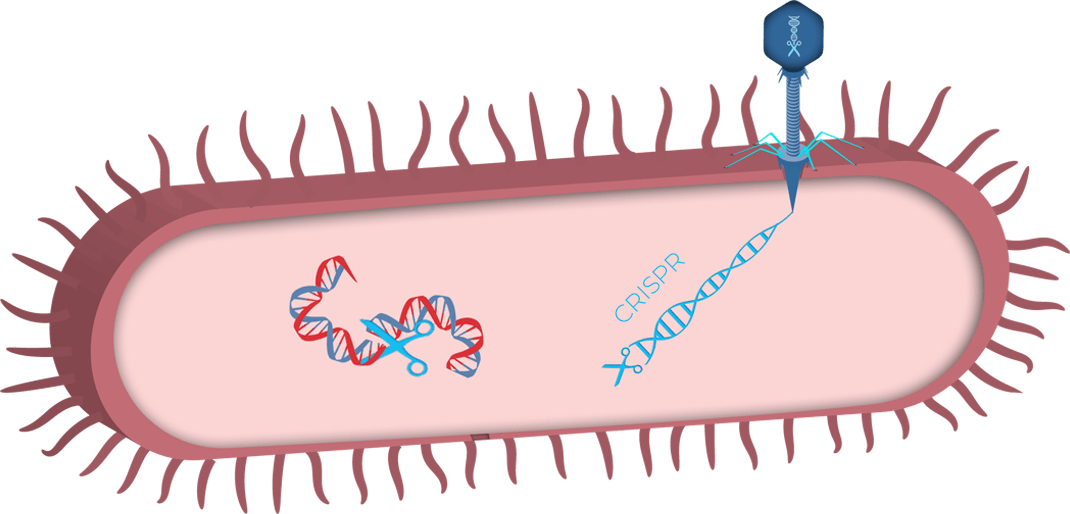 Removing traits