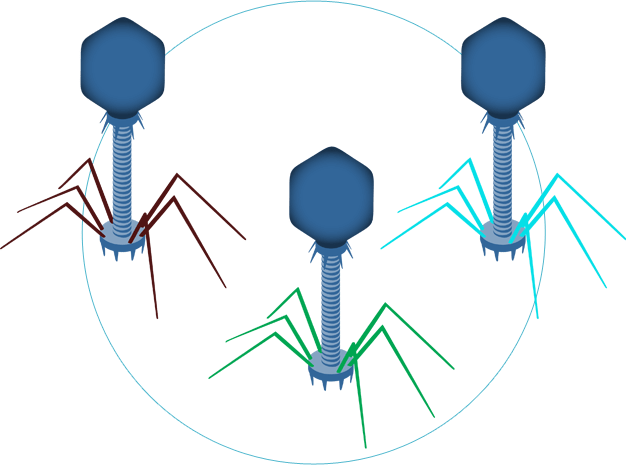 Engineer phages to selectively deliver unique TBX™ DNA Cargo
