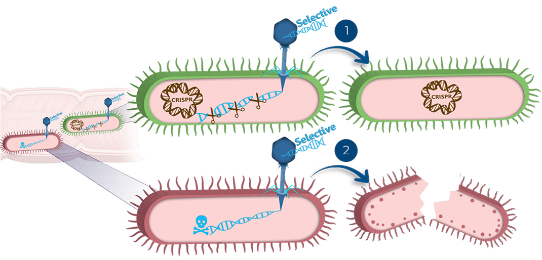 Controlling the Microbiome